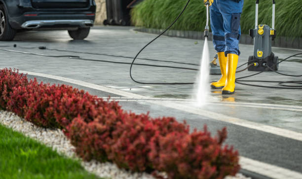 Professional Pressure Washing in Bayou La Batre, AL